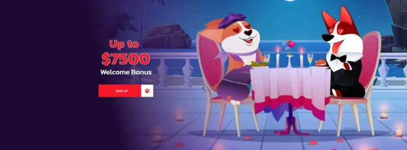 Reddog online casino video review