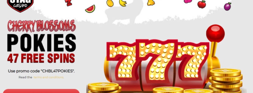 10 Tips for Playing Successfully at Red Stag Casino