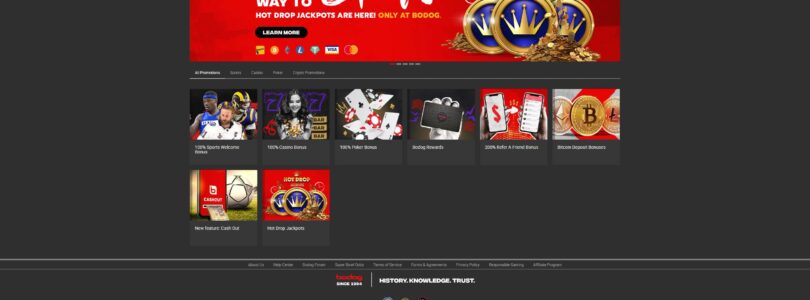 Bodog’s Casino Online Customer Service: A Review