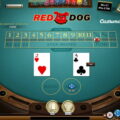 A Beginner's Guide to Playing at Red Dog Online Casino