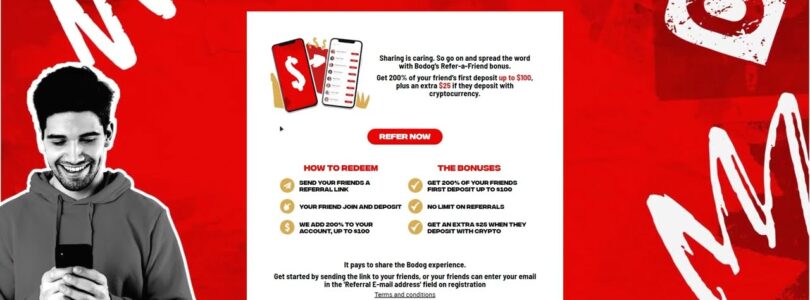 Bodog Casino Online Site Video Review