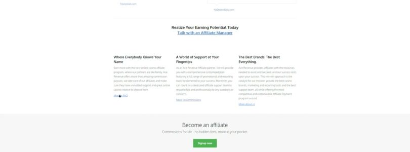 New Video Review for Ace Revenue Gambling Affiliate Site