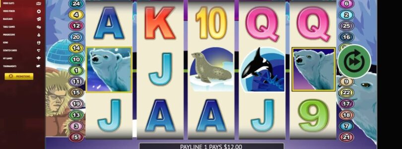 Red Stag Online Casino Site Video Review