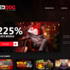 The Future of Red Dog Online Casino: Vad spelare kan förvänta sig under de kommande åren