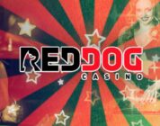 Red Dog Online-kasinon historia ja kehitys