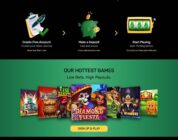 The Latest Game Releases at Ozwin Online Casino – what to expect