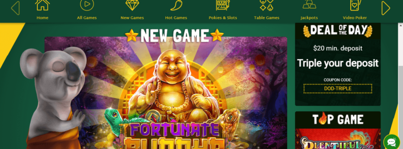 Top 10 Slot Games to Try at Fair Go Online Casino