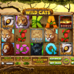 Cool Cat Casino Online’s Newest Games: A Sneak Peek at What’s Coming Soon