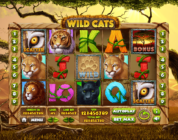 Cool Cat Casino Online'i uusimad mängud: väike pilk peagi tulevasse kohta