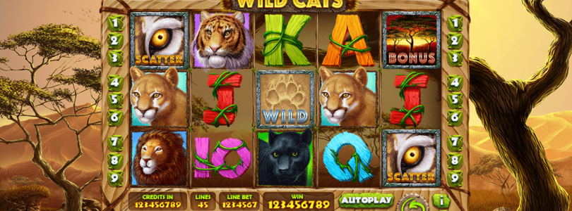 Cool Cat Casino Online’s Newest Games: A Sneak Peek at What’s Coming Soon