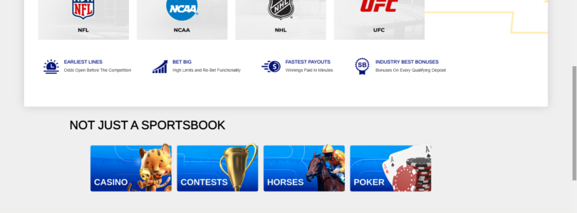 The Top 10 Sports to Bet on at SportsBetting Online