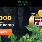 Is Wild Casino Online Safe and Fair? A Comprehensive Review