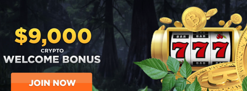 Is Wild Casino Online Safe and Fair? A Comprehensive Review