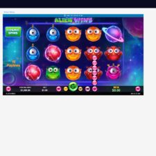 Cool Cat Casino