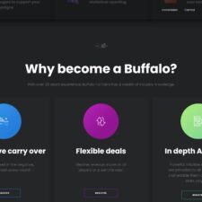 Buffalo Partners