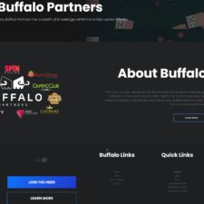 Buffalo Partners
