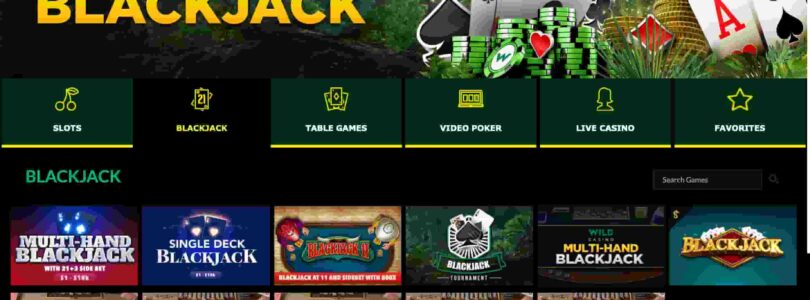 Wild Casino Online: The Future of Online Gambling?