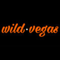 The VIP Experience at Wild Vegas Casino