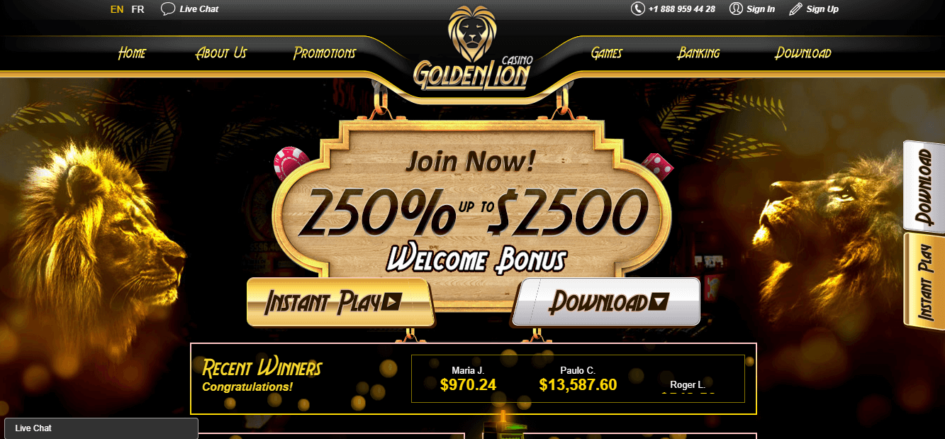 A Beginner's Guide to Playing Blackjack at Golden Lion Casino Online