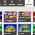 A Beginner's Guide to Playing Table Games at Platinum Play Casino