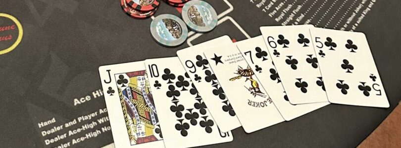 A Comprehensive Guide to Royal Ace Casino Online's Loyalty Program