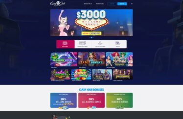 Cool Cat Casino Online Site Video Review