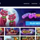 Cool Cat Casino Online vs. Other Online Casinos: Which One Reigns Supreme?