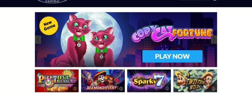 Cool Cat Casino Online vs. Other Online Casinos: Which One Reigns Supreme?