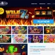 Interview with a Cool Cat Casino Online VIP Player: Insider Tips and Tricks