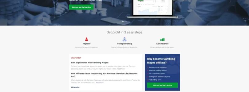 Gwages Gambling Affiliate Site Video Review