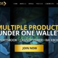 Kings Gambling Affiliate Site Video Revie