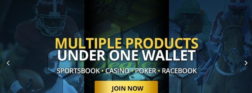 Kings Gambling Affiliate Site Video Revie