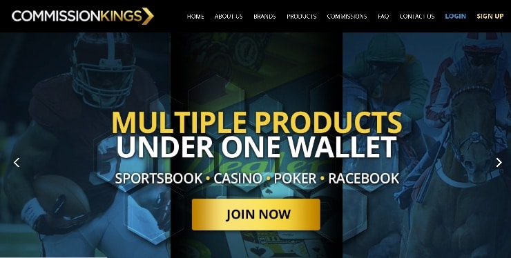 Kings Gambling Affiliate Site Video Revie