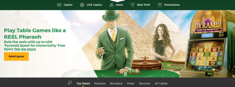 The Story Behind Mr Green Casino: From Humble Beginnings to Industry Leader