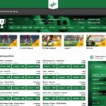 Mr Green Casino's Loyalty Program: How to Get the Most Out of It