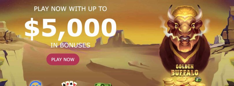The Best Bonuses and Promotions Available at Slots Com Casino Online