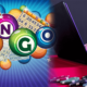 The Future of Bingo Fest Casino: Predictions and Innovations