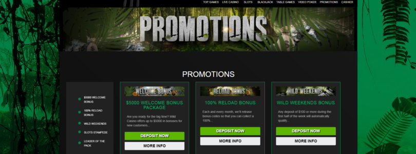 Wild Casino vs. Other Online Casinos: Which is Better for You?