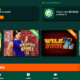 From Beginner to Pro: How Play Croco Casino Can Help You Master Your Favorite Casino Games