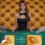 A Complete Guide to WinningRoom Casino's Live Dealer Games