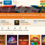 The Pros and Cons of Playing at Bertil Casino Online