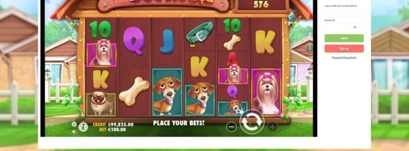 MamaMia Bingo Casino Online Site Video Review