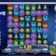 Campo Bet Images