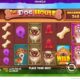 Cadabrus Casino Images