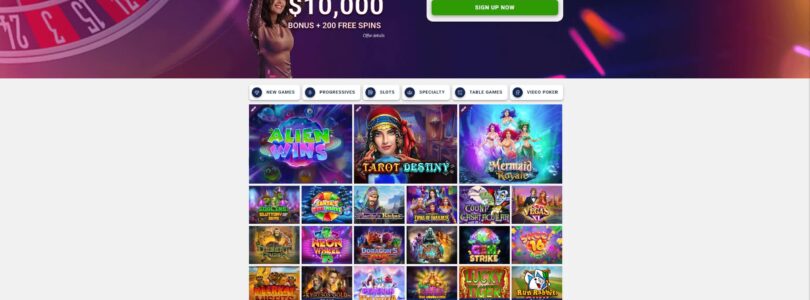 Interview with a Professional Slots Player: Secrets to Success at Slots Room Casino Online