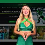 A Beginner’s Guide to Campo Bet Online: Everything You Need to Know to Get Started