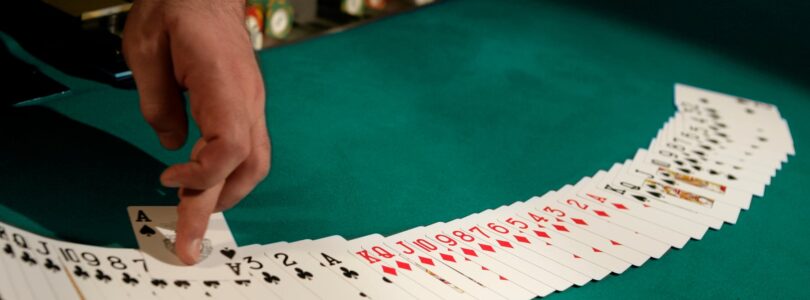 Behind the Scenes of PlayHub Casino Online: Meet the Team