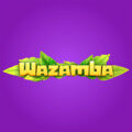 The Best Strategies for Playing Table Games at Wazamba Casino Online