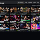 A Beginner's Guide to PlayHub Casino Online: How to Get Started