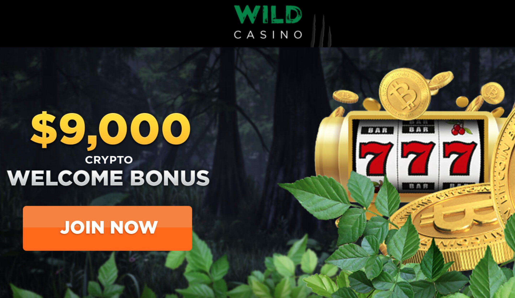 Is Wild Casino Online Safe and Fair? A Comprehensive Review